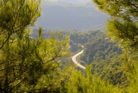 Kazdağı Destek Ol