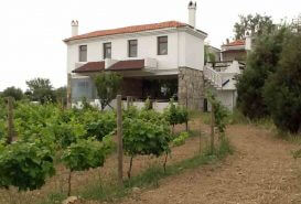 casa mini bozcaada